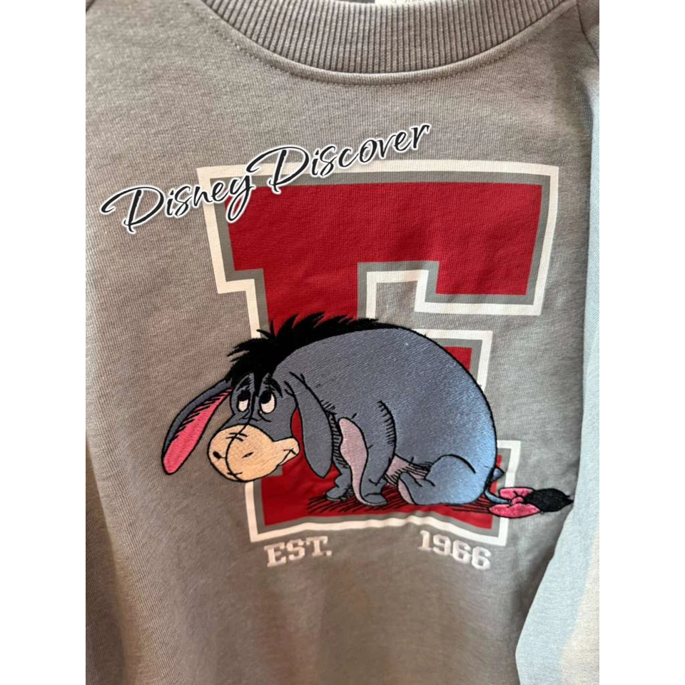 Eeyore 成人套衫运动衫小熊维尼和蜂蜜树尺寸 S — 第 2/2 张图片