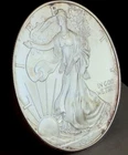 LAST ONE 1996 BU American Eagle Silver Dollar KEY DATE + FREE PCGS COIN