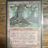 Wizards of the Coast Hollow Trees Fallen Empires Land Regular English Pat Morri…