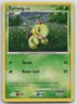 Turtwig DP01 PR-DPP Holo Promo DP Black Star Promos Pokemon #DP01