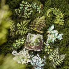 Woods Plants PET Stickers Journal Planner Collage 20pcs/pack Scrapbooking Crafts