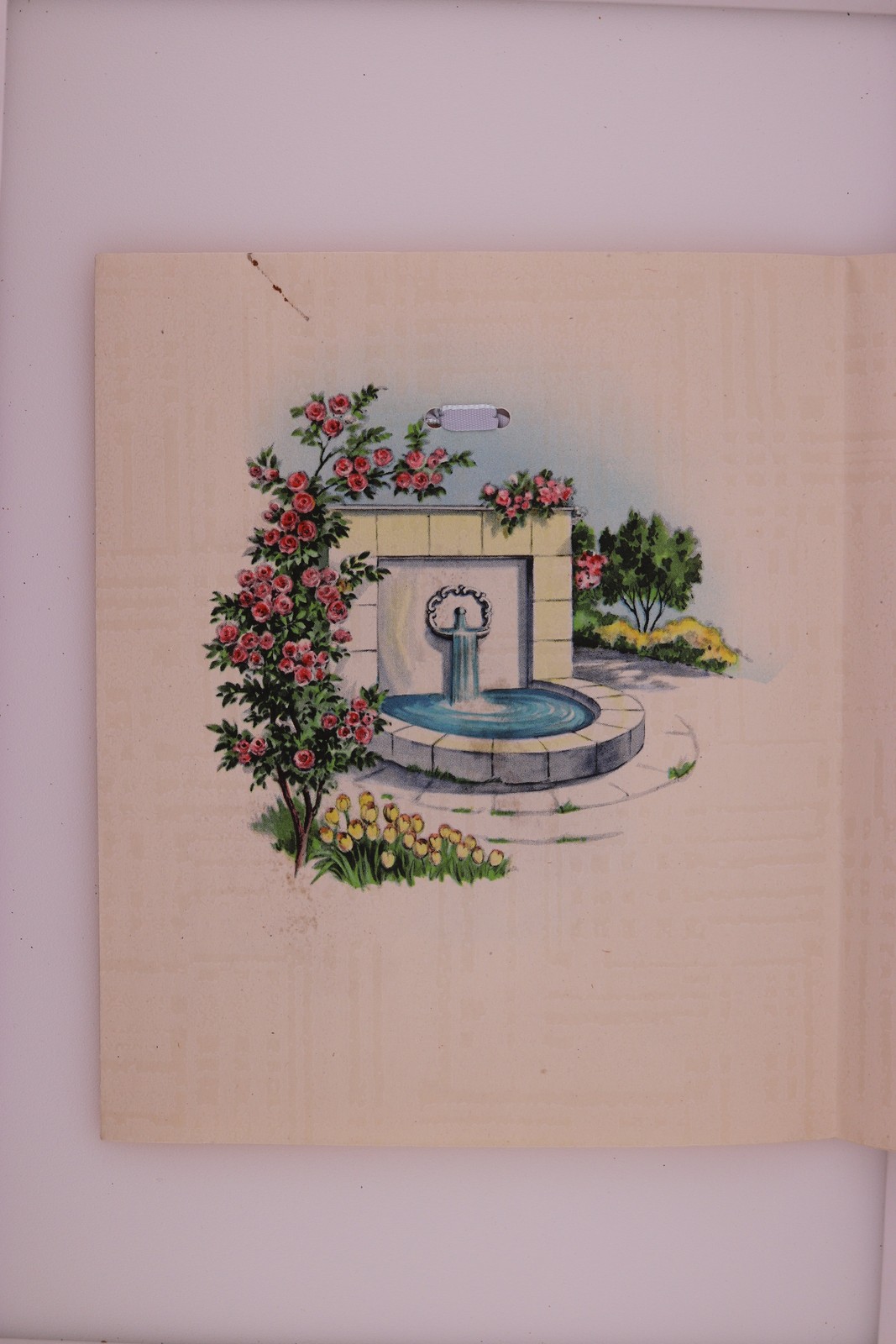Picture 2