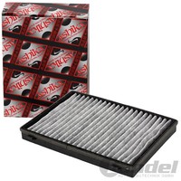Ashika Innenraumfilter Pollenfilter Passend FüR Chevrolet Captiva Opel Antara