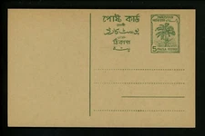 Postal Stationery H&G #19 Pakistan postal card 1961 Vintage