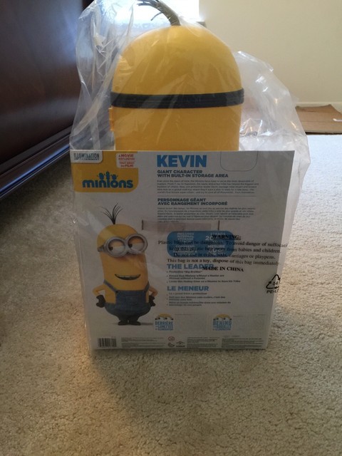 Minion 20