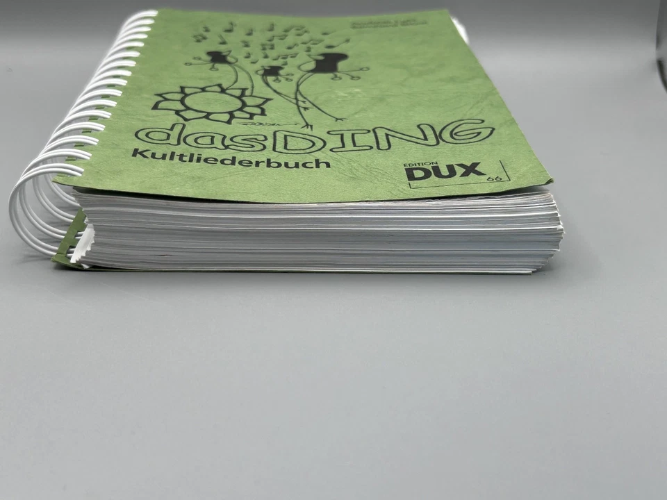 dasDing Kultliederbuch mit Akkorden - Bild 2 von 3