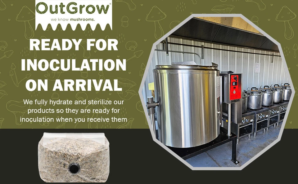 BOLSAS BRF Bolsas de cultivo de sustrato de setas para harina de arroz integral / La venta es de 24 bolsas Foto 2 de 4