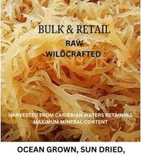Dr Sebi Irish Sea Moss WildCrafted For Gut Health  Digestion 100 Pure Organic
