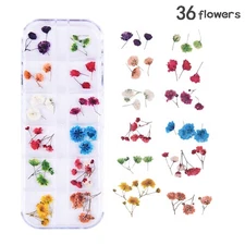 36PCS Real Pressed Dry Mixed flowers with stem collection, 12 colors FCD504 #14