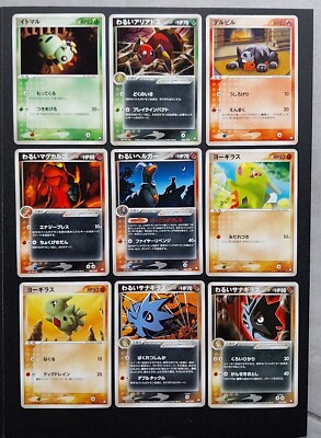 Pokemon PCG Ära Black Deck Kit