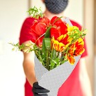 Bild 5 von 12