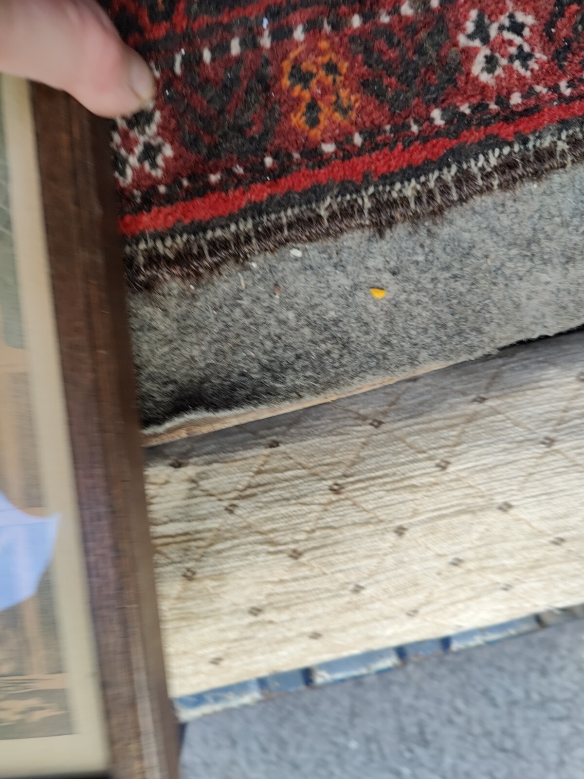 Foto 7 di 23