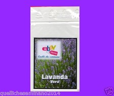 300 SEMI DI LAVANDA vera di