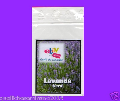 500 SAMEN LAVENDEL - Lavendel Angustifolia HEILPFLANZEN - ÄTHERISCHE ÖLE 