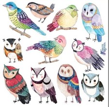 Violette Stickers Colorful Owls  Birds Crafts Planner Supply Scrapbook