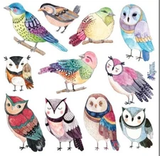 Violette Stickers Colorful Owls & Birds Crafts Planner Supply Scrapbook