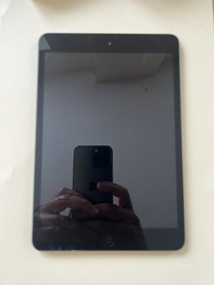 Defektes Apple iPad mini 1. Gen A1432 Grau Defekt