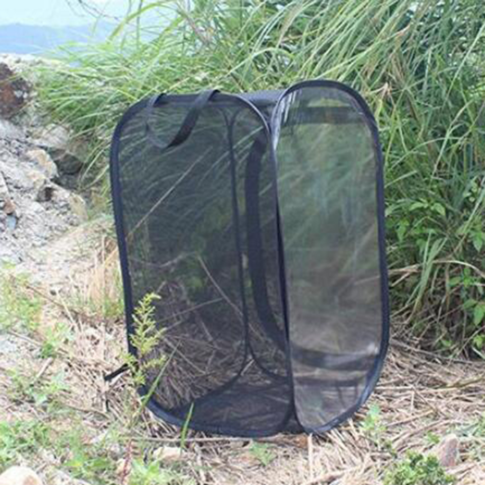 Insect Net Terrarium Safe Smooth Surface Educational Usage Insect Cage ...