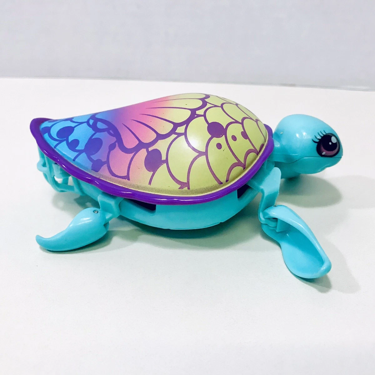 Little live on sale pets tortoise