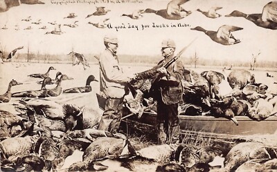 1909 Nebraska NE Good Day Duck Hunting Rifle Exaggerated RPPC Postcard