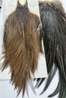Vintage Metz Chocolate Dun Grade 2 Rooster Cape And Iridescent Saddle   — photo 5