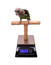 NU Perch Parrot Training Scale