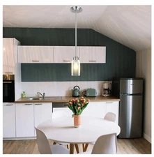 Single Pendant Hanging Hood Light Indoor Seed Glass Shade Brushed Nickel Finish~