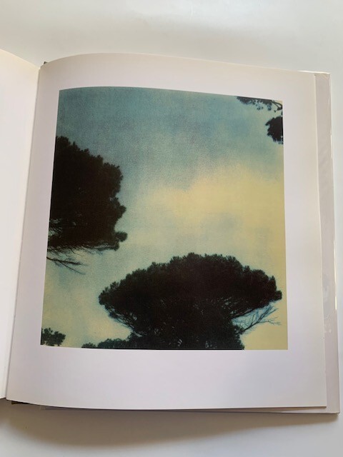 CY TWOMBLY PHOTOGRAPHS - 1ST. ED. | eBay