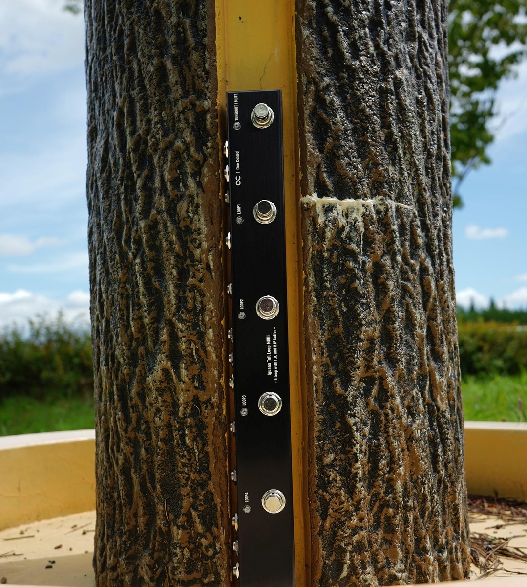 One Control Iguana Tail Loop MKⅢ Iguana Tail Loop MKIII - 5 loop with T.O. and BJF Buffer - (OC