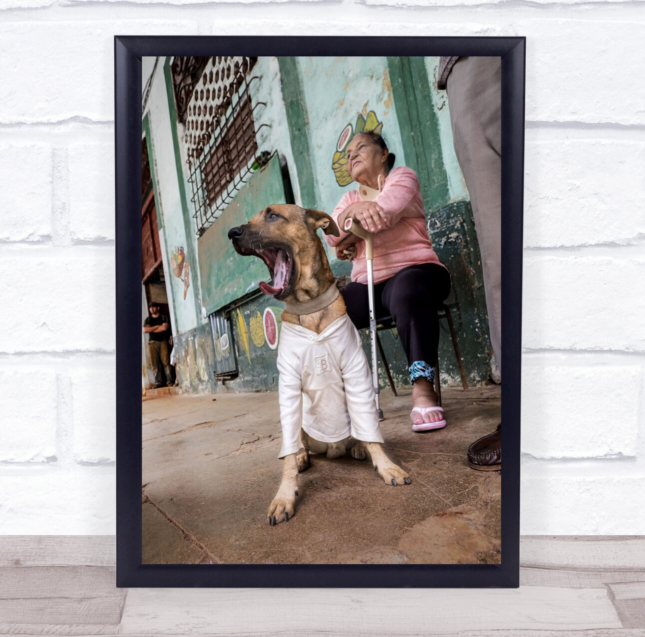 Cuba Havana Street Old Lady Dog Dogs Animal Animals Yawn Pet Wall Art Print
