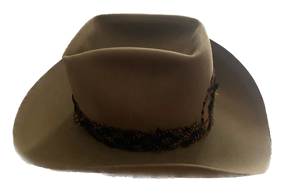 Sombrero de Vaquero Castor Resistol XXX con Banda de Sombrero de Plumas, Para Hombre Talla 7, Tostado, De Colección Foto 4 de 4