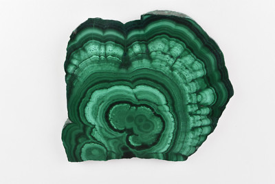 Malachite Stalactite Slice from Congo  11.6 cm  # 20101