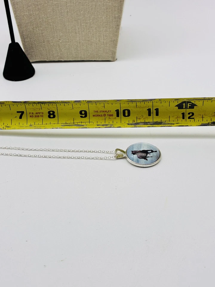 Conjunto de aretes colgantes de plata esterlina para caballo S925 con bota de vaquero Foto 2 de 4