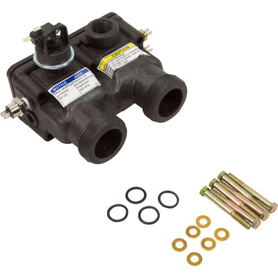 474972 Pentair Manifold Kit for Master Temp 125