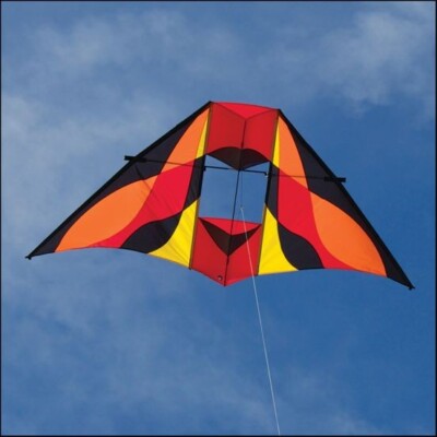 Delta Conyne Kite Rocky Mountain 93 x 40'' + RipStop Nylon + Case