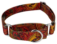 Country Brook Petz® Fire Paisley Martingale Dog Collar