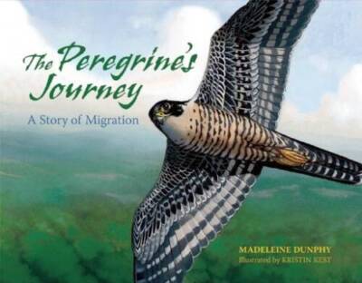 The Peregrine's Journey: A Story of Migration - Paperback - GOOD