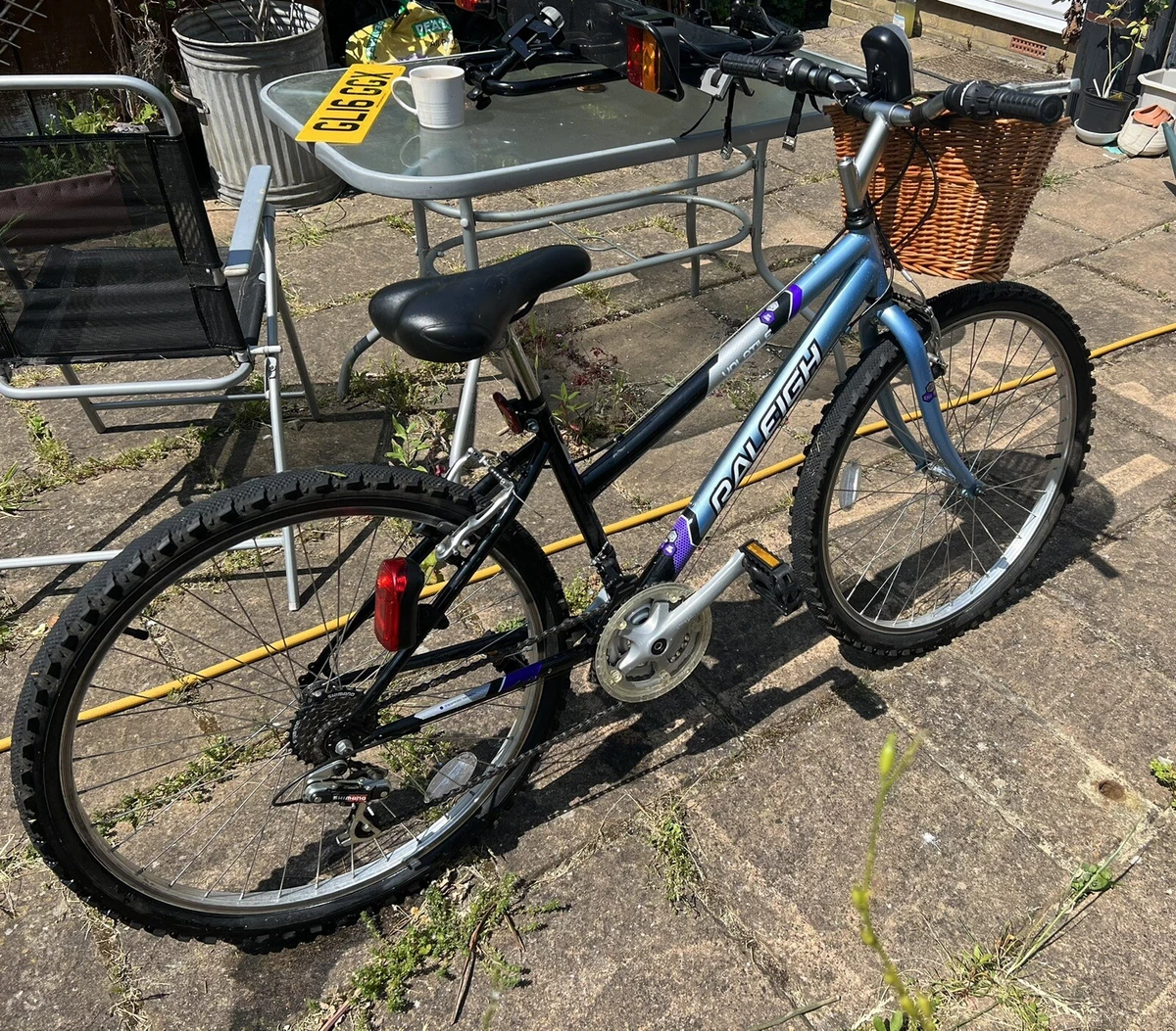 Raleigh Volatile Mountain Bike
