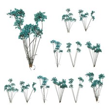 12 Pcs Lace Natural Real Pressed Dried Flower for Art Craft DIY Blue