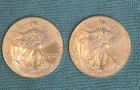 2001 American Silver Eagle (Lot Of 2)