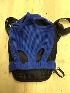 front facing dog carrier