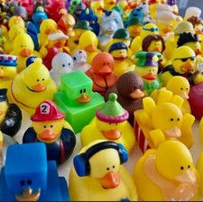 Bulk Rubber Ducks Cruise Ducks Ducking Jeeps NO DUPLICATES