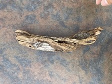 Natural Driftwood for Plants Terrarium Taxidermy Art Projects