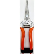 FORBICI COGLIUVA VENDEMMIA LEGGERA LAMA DRITTA LUNGA ACCIAIO INOX 19cm DAPRILE