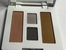 Clinique Powder Bronzer sunkissed Color Surge Eye Shadow pink Blusher new