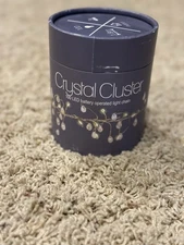 100 LED Battery Operated Light Chain 