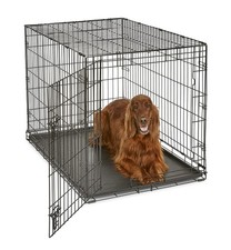 42 Inch Folding Dog Crate for Large Breeds 71-90 lbs Midwest Homes Portable