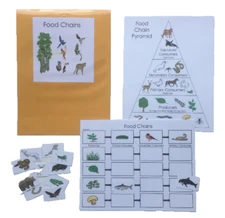Teacher Depot Science Center Educational Learning Resource Game Food Chains