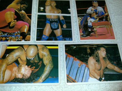 WRESTLING - AMERICAN FREE FIGHT (12 CALENDRIERS / CALENDARS) COLLECTION RARE - Bild 5 von 7
