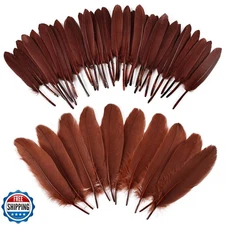 iHUFeather 270pcs Coffee Goose Feathers for Crafts 2 Styles 4-7 inch Bulk Nat